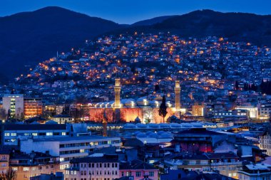 Bursa Büyük Camii, Türkiye