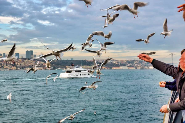 Люди Кормят Чаек Ускдаре Стамбуле Турции — стоковое фото