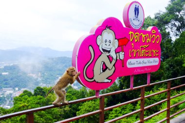 Monkey Hill bakış açısı, Phuket kasabası, Phuket, Tayland