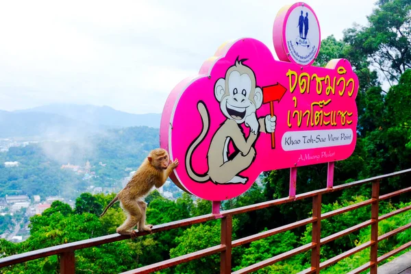 Monkey Hill bakış açısı, Phuket kasabası, Phuket, Tayland