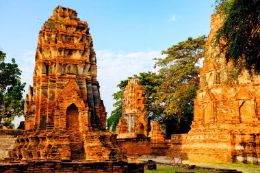 Wat Mahathat, Ayutthaya, Tayland 'da şakalar