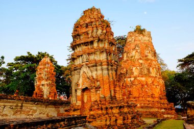 Wat Mahathat, Ayutthaya, Tayland 'da şakalar