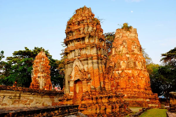 Wat Mahathat, Ayutthaya, Tayland 'da şakalar