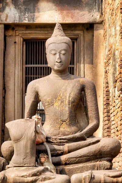 Макака Macaca Fasicularis Перед Джаябудхамаханатха Victorius Buddha Great Protector Пранг — стокове фото