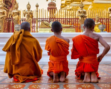 Wat Phra 'daki keşişler Doi Suthep, Chiang Mai, Tayland
