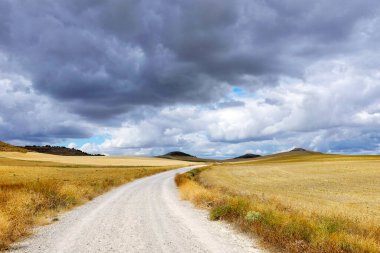 Carretera Boadilla del Camino 'daki Saint James (Camino de Santiago) yolunda buğday tarlaları hasat edildi - Itero de la Vega, İspanya