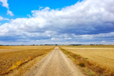 Carretera Boadilla del Camino - Itero de la Vega Saint James Yolu (Camino de Santiago), İspanya