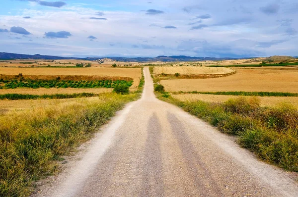 巡礼者の影 Way Saint James Camino Santiago スペイン ナバラ州ロス アルコス郊外 — ストック写真