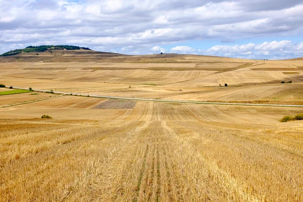 Harvested Wheat Fields Way Saint James Camino Santiago Viloria Rioja — Stock Photo, Image