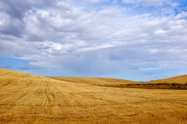Harvested Wheat Fields Way Saint James Camino Santiago Spain — Stock Photo, Image
