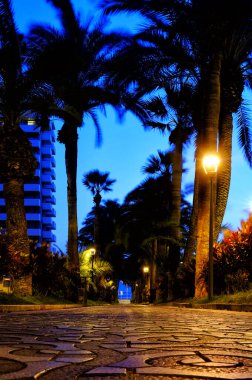 Paseo de las Palmeras, Puerto de la Cruz, Tenerife, Kanarya Adaları, İspanya