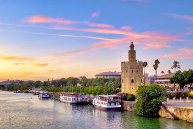 Torre del oro, Sevilla, İspanya