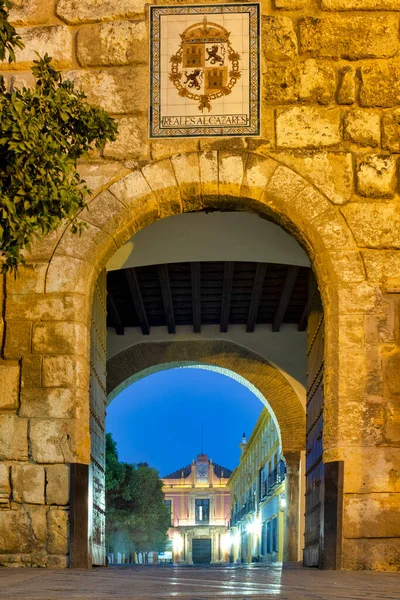 塞维利亚西班牙皇家城堡的外墙就在出口外面 — 图库照片