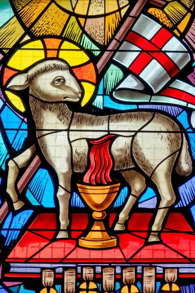 サンタ マリア デッラ マリーナ大聖堂のステンドグラスの神の子羊の血 サンベネデット トロント イタリア — ストック写真