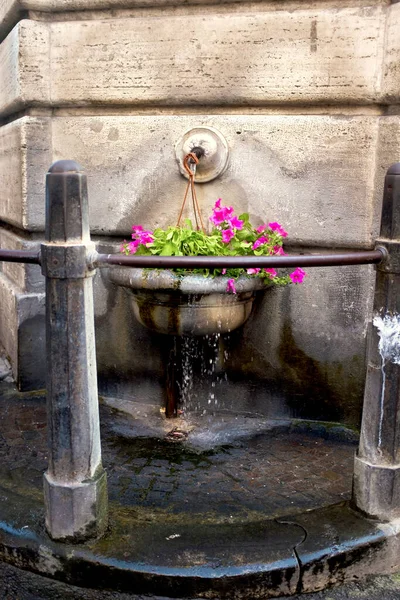 Flores Para Regar Uma Fonte Della Scrofa Roma Itália — Fotografia de Stock