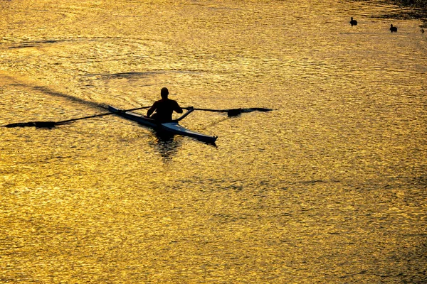 Günbatımında Tiber nehrinde kano talimi yapan sporcu, Roma, İtalya