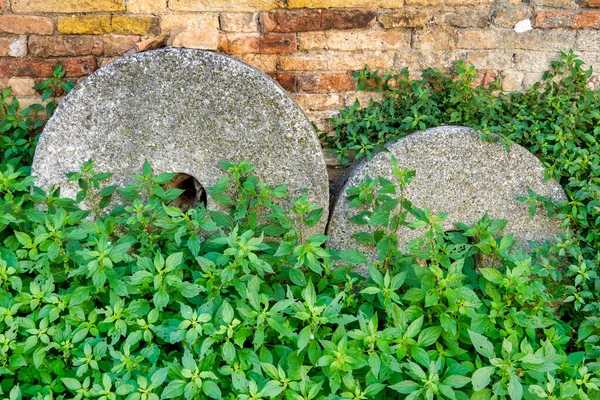 Abandoned Millstones Front Oil Museum Loreto Aprutino Italy — Foto Stock