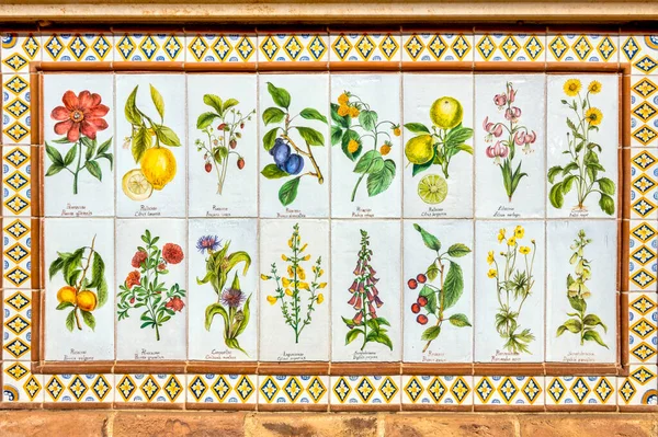 Tile Work Medicinal Herbs Penne Italy —  Fotos de Stock