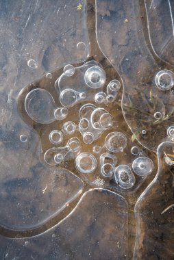 Hava çemberli buz yapısı. Doğal soyut düğüm, mavi tonlar