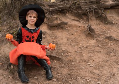 Genç bir cadı Cadılar Bayramı için balkabaklarını inceliyor. Tatil için takım elbiseli bir kız. Siyah şapkalı güzel cadı.