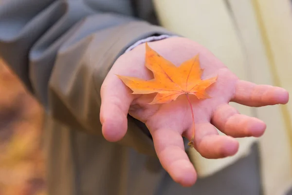 Primer plano de una mano de niño. Niño con ropa de otoño. Hay una hoja de otoño en mi mano — Foto de Stock