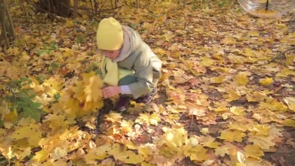 A menina recolhe folhas amarelas no parque de outono. Uma criança em roupas de outono, um passeio — Vídeo de Stock