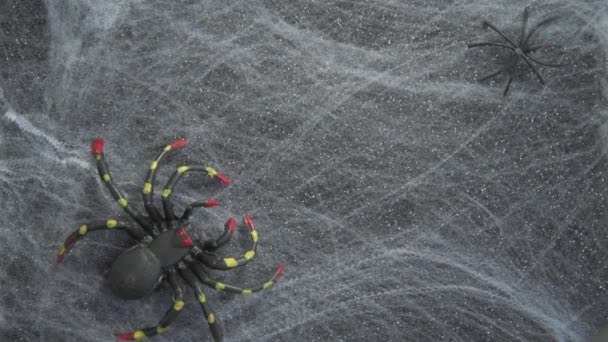 Weibliche Hände verbreiten verschiedene Spinnen im Netz. Spinnen in verschiedenen Größen und Farben. Spinnenspielzeug. Arachnophobie. Halloween-Karte. Gruseliger Hintergrund — Stockvideo
