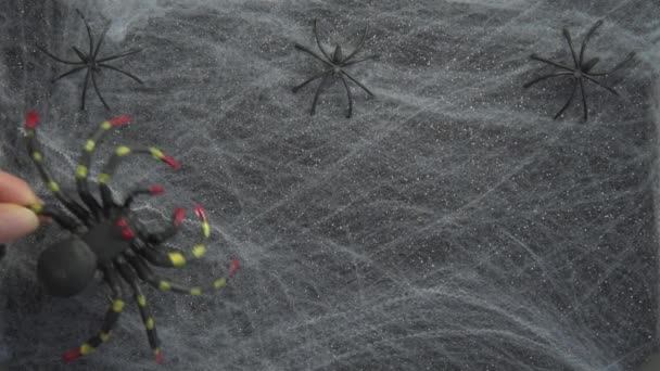 Les mains féminines répandent différentes araignées sur la toile. Araignées de différentes tailles et couleurs. Des jouets d'araignées. Arachnophobie. Carte d'Halloween. Fond effrayant — Video