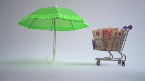 Das Konzept des Geldschutzes. Im Trolley befinden sich russische Rubel. Eine Frauenhand rollt einen Karren mit Geld unter einen Regenschirm. Schutz und Pflege der Finanzen. Einlagensicherung. — Stockvideo