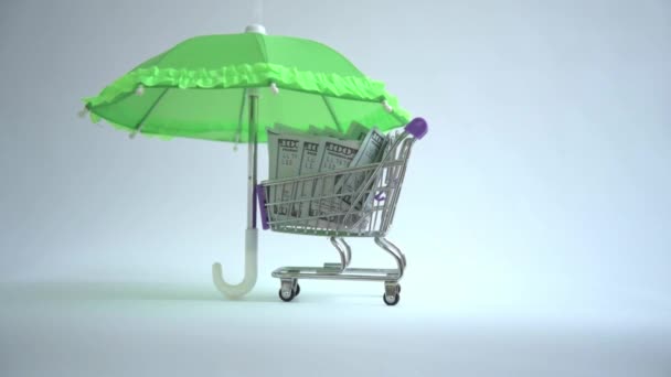 Dans le panier, il y a des dollars. Une main déploie un panier sous le parapluie. Le concept des transactions financières risquées. Le concept d'insécurité financière. — Video