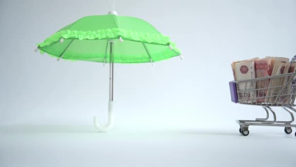 Das Konzept des Geldschutzes. Im Trolley befinden sich russische Rubel. Eine Frauenhand rollt einen Karren mit Geld unter einen Regenschirm. Schutz und Pflege der Finanzen. Einlagensicherung. — Stockvideo