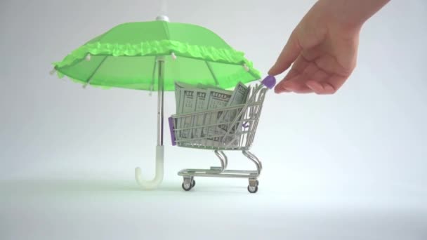 Dans le panier, il y a des dollars. Une main déploie un panier sous le parapluie. Le concept des transactions financières risquées. Le concept d'insécurité financière. — Video