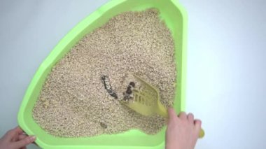 Yukarıdan bak. Beceriksiz çöplerle dolu kedi kumu. Sümüklü bir el temizliği yapar. Kedilerin tuvaletini temizliyorum..