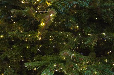 Noel ağacının tasarımında minimalizm. Sadece Noel çelenkleri. Arka plan, doku. Çevresel dostluk