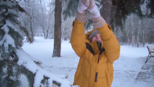 孩子把圣诞树上的雪抖掉，笑了。这个孩子穿着一件暖和的冬季夹克和一顶灰色针织的帽子。玩雪地游戏对冬天的爱雪的快乐. — 图库视频影像