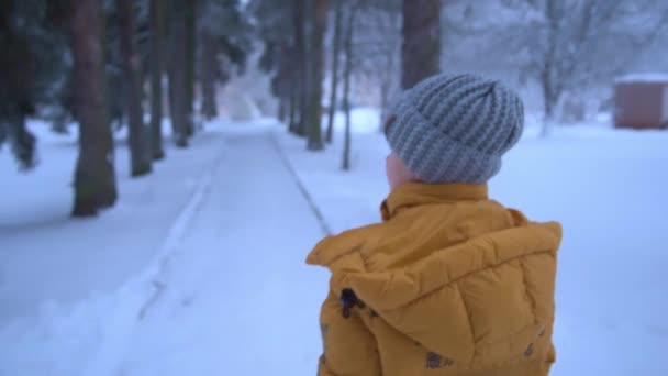 Un niño camina por un callejón cubierto de nieve. Se inspecciona alrededor. El niño entonces corrió. La niña lleva una chaqueta larga de color amarillo cálido y un sombrero de punto gris. Alrededor de árboles altos y un montón de blanco puro — Vídeo de stock