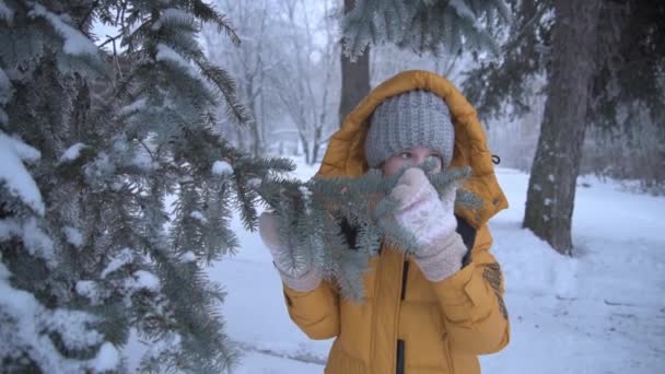 Het kind onderzoekt de besneeuwde takken van de kerstboom. Een kerstboom kiezen voor Kerstmis en Nieuwjaar. Het meisje is gekleed in een gele lange warme jas met een capuchon, want het is zeer — Stockvideo