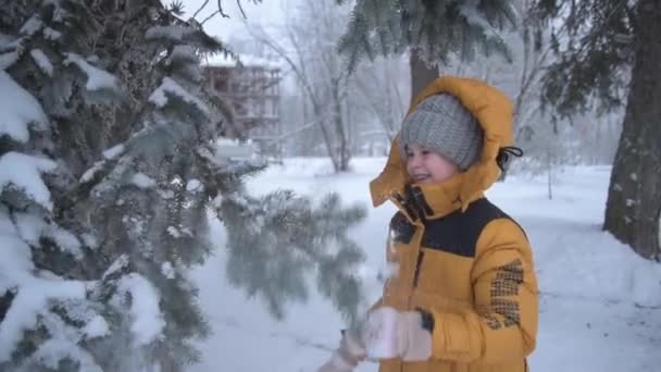 Copilul scutură zăpada de pe pomul de Crăciun și zâmbește. Copilul este îmbrăcat într-o jachetă caldă de iarnă și o pălărie gri tricotată. Se joacă cu zăpadă. Dragoste pentru iarnă. Plăcerea zăpezii. — Videoclip de stoc