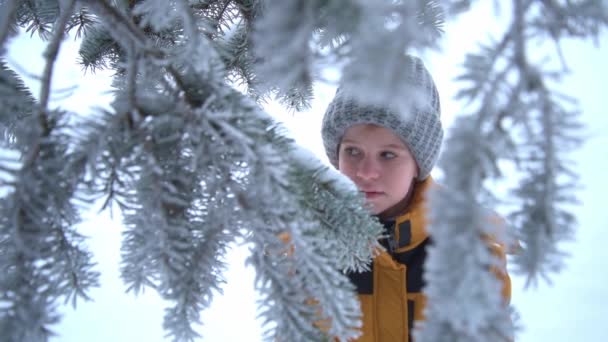 子供はクリスマスツリーの雪に覆われた枝を調べます。クリスマスと新年のためのクリスマスツリーを選択します。女の子はフード付きの黄色の長い暖かいジャケットを着ています。 — ストック動画