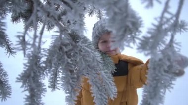 Çocuk Noel ağacındaki karı silkeliyor ve gülümsüyor. Çocuk sıcak bir kış ceketi ve gri bir örgü şapka giyiyor. Karla oynamak. Kış aşkı. Karların zevki.