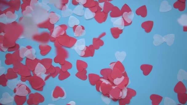 Blick von oben. Weiße und rote Herzen fallen auf den blauen Hintergrund. Hintergrund für den Feiertag ist der Valentinstag. Glückwunsch zur Hochzeit oder Verlobung. Liebeserklärung. — Stockvideo