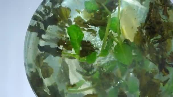 Η διαδικασία παρασκευής πράσινου τσαγιού. Γυάλινη διάφανη τσαγιέρα, κάτω όψη. Η τσαγιέρα περιέχει ασβέστη, φύλλα δυόσμου και πράσινο τσάι με κομμάτια μάνγκο. Όλα τα περιεχόμενα της τσαγιέρας χύνεται όμορφα — Αρχείο Βίντεο