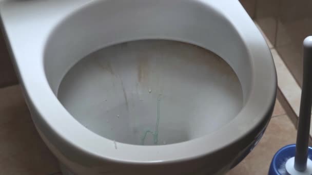 Une main gantée traite les toilettes avec un nettoyant. Travail à domicile. — Video