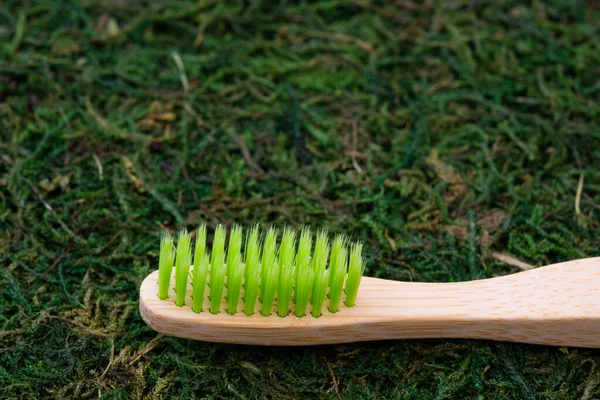 Eco-friendly toothbrush. Toothbrush on a natural background. Moss and grass. Ecology care concept — Stock Photo, Image