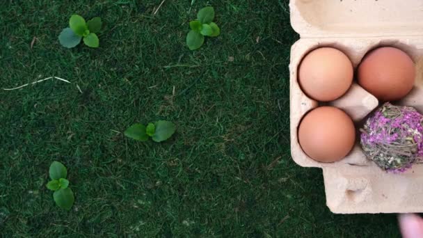 Het concept van hoge kwaliteit kippeneieren. Zicht van bovenaf. Op een groene natuurlijke achtergrond zitten eieren in een doos. Een vrouwenhand legt ballen gras en bloemen neer. Het begrip "milieu" — Stockvideo