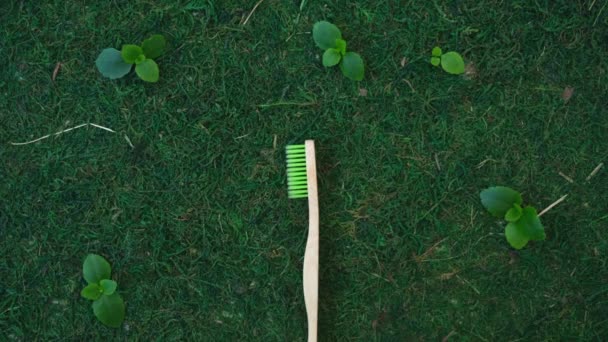 Çevre dostu diş fırçası, çatal, kaşık ve bıçaklar. Doğal arka planda tahta nesneler. Yosun ve çimen. Çevre bakımı kavramı — Stok video