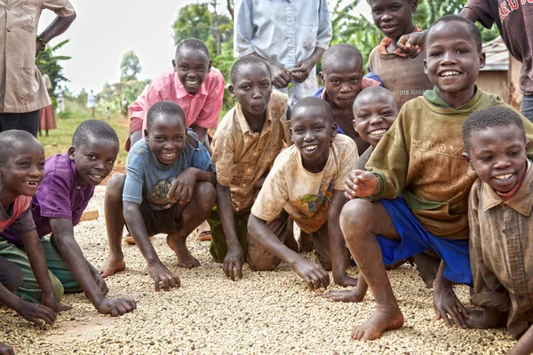 Enfants caféiculteurs avec des grains de café Image En Vente