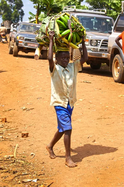Jovem rapaz carregando um monte de bananas na cabeça Imagens Royalty-Free