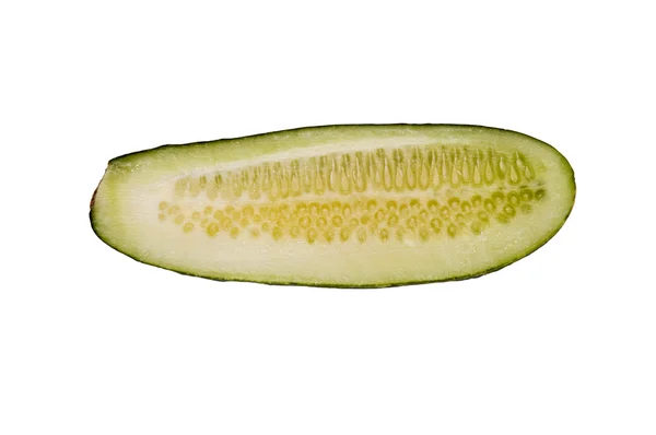 Pepino — Foto de Stock