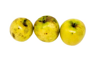 üç sarı organik elma